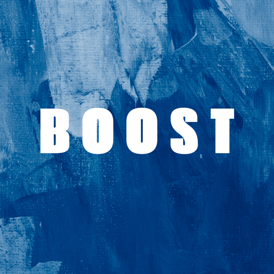 BOOST STANDARD (RECOMMENDED)